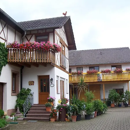 Gaestehaus Brunhilde Wittenweier Buitenkant foto
